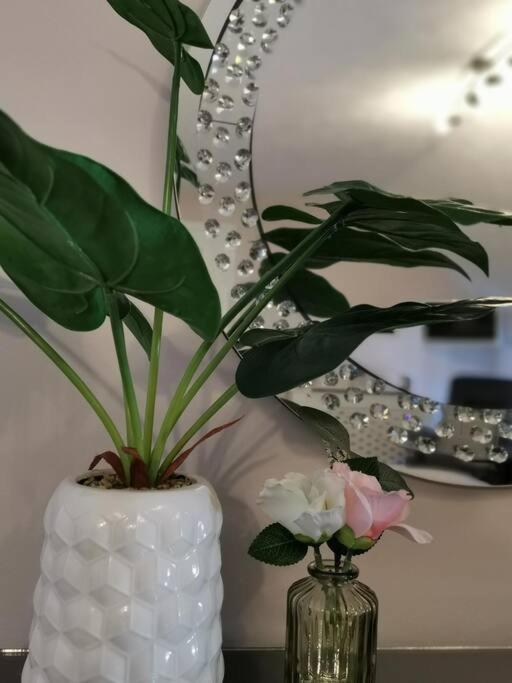 B'Dazzled Flat, Castletown Apartment Терсо Екстериор снимка